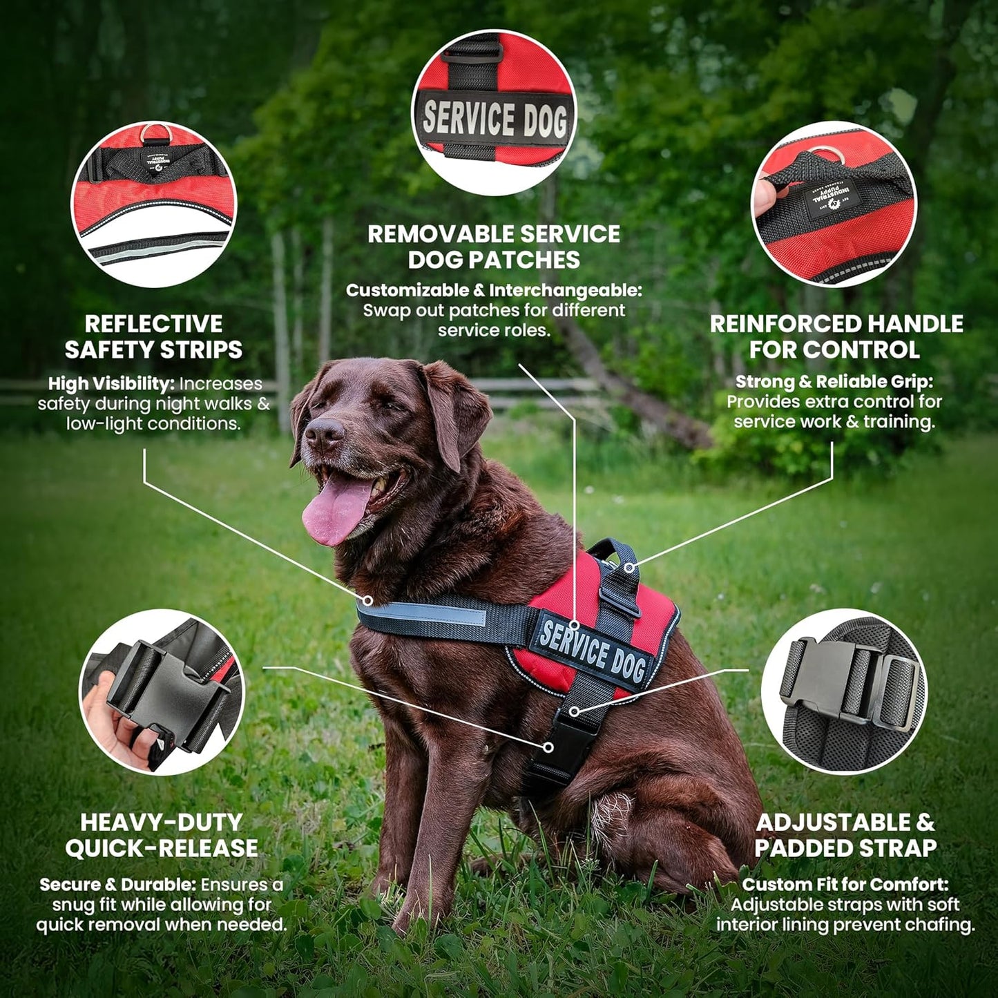 Service Dog in Training Vest Harness - Durable & Adjustable Dog Vest with Reflective Straps, Removable Patches, Handle & D-Ring, Travel and Daily Use, Small 19.5"-25", Bright Red