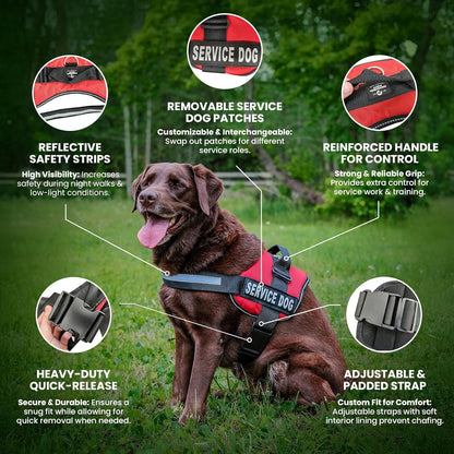 Service Dog in Training Vest Harness - Durable & Adjustable Dog Vest with Reflective Straps, Removable Patches, Handle & D-Ring, Travel and Daily Use, Small 19.5"-25", Bright Red