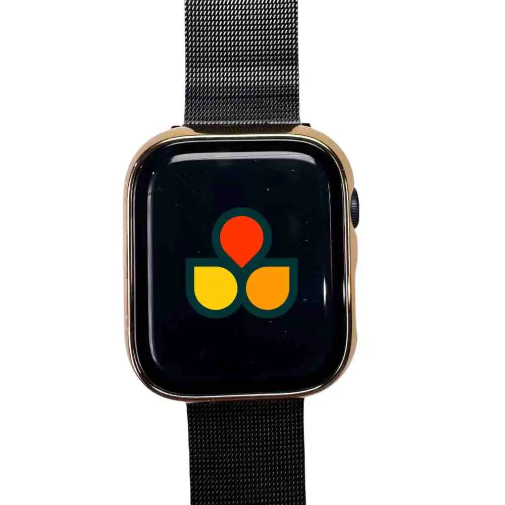 Gold watch case cover with clear gloss screen and black mesh strap